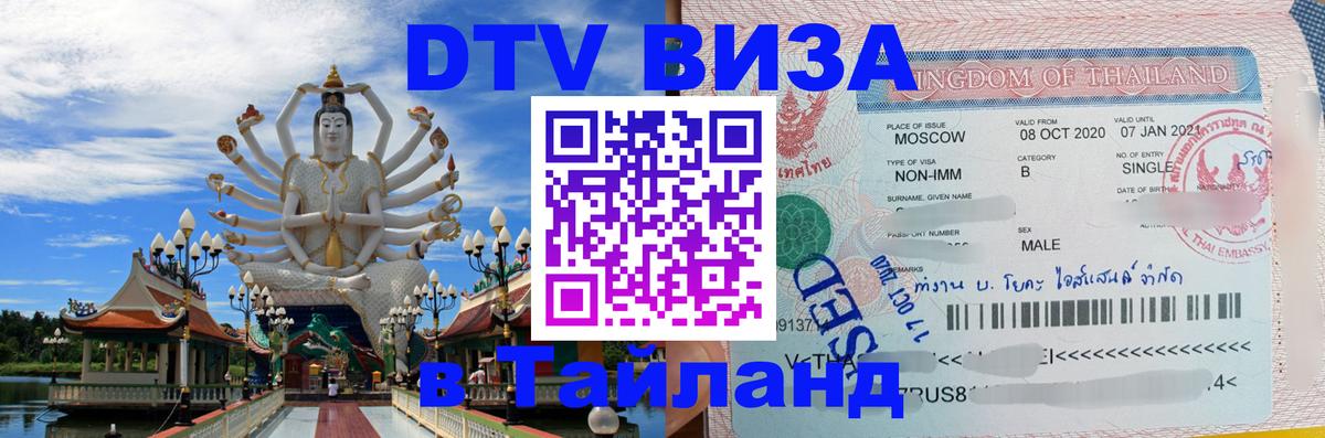 Оформление DTV визы под ключ: стоимость и тарифы, только загранпаспорт - Ставрополь 